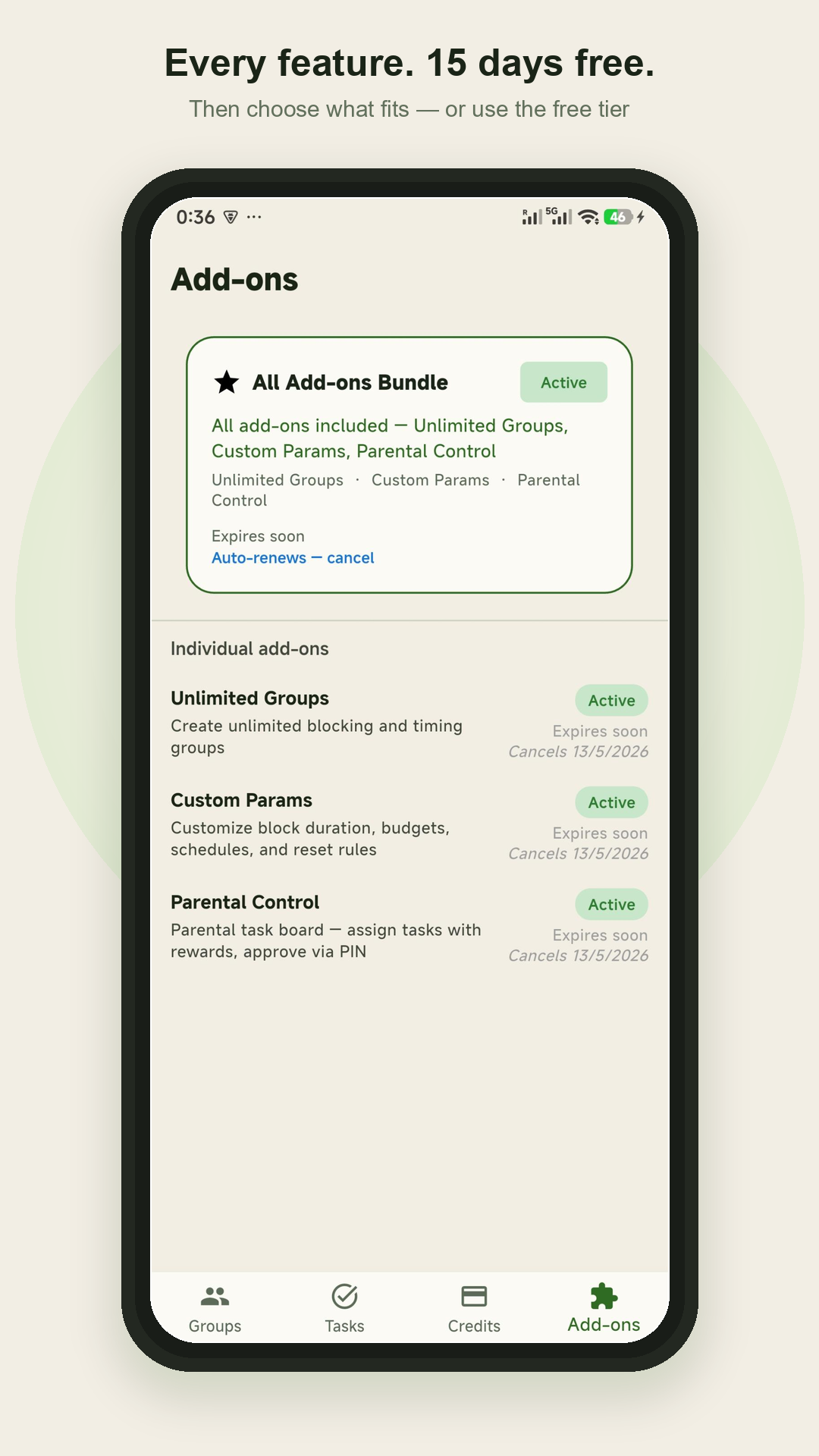 Add-ons screen with bundle and individual options
